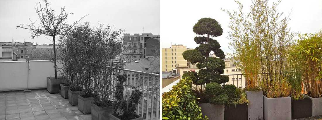 Avant - Après : Aménagement paysagé d'une terrasse avec vue à Marseille