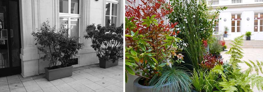 Un jardinier paysagiste aménage la cour intérieure d'un hôtel particulier à Marseille